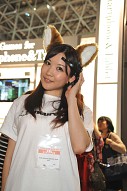 TGS 2011ϲǹδѵưȤʤäǯTGSAM硼̤äѥ˥̿308Ǻ