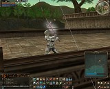 ������#011�Υ���ͥ���/MMORPG�֥�͡�����II�פ�7����̵����ͷ�٤롤�������������̵���ץ쥤���ꥢ��ʥ�С��򡤱���������˥ץ쥼��ȡ�
