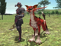 #008Υͥ/FFXI絬ϥåץǡȤ»ܡ8590ؤΥ٥륭åװ夲䡤ɥ֥ӥƼԡפΥץ쥤ؤʤƤ