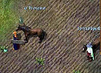 ������#002�Υ���ͥ���/�֥꥿�˥���ݡ��ȡ��֥꥿�˥����祳�������üԤδ���ʸ����Ǻ�