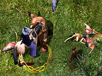 ������#003�Υ���ͥ���/�֥꥿�˥���ݡ��ȡ��֥꥿�˥����祳�������üԤδ���ʸ����Ǻ�