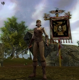 Warhammer Online: Age of Reckoning