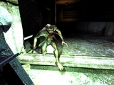 S.T.A.L.K.E.R.: Shadow of Chernobyl ܸޥ˥奢 Ѹ