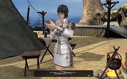 ���������꡼ No.015�Υ���ͥ������ / ���ġ���ȯ�����Ϥ����������Ȳ��סɤ��Ĥ��ˤ��ܸ��������֥���ʥɡ������ѥ� ��ͥå��󥹡�����θ���ݡ���