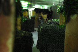 ���������꡼ No.028�Υ���ͥ������ / ��Ʈ�ȡ�����������������������Ǿ�����ǽƷ���򷫤깭���롣��RED STONE �ޥ����åƥ����Ҳ� ���Х����θ� with ���������ץ�ݡ���