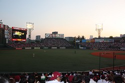 ���������꡼ No.010�Υ���ͥ������ / ��Xbox ��̿�ݡפ��ޥ���ɤ�Ω�ġ���ŷ�е����ˤơ�Xbox�ʥ������פ�»�