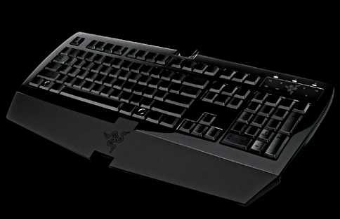 #002Υͥ/Razer50ɥιԤΥޡܡɡArctosaȯɽ