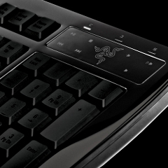 #003Υͥ/Razer50ɥιԤΥޡܡɡArctosaȯɽ