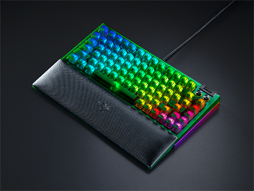 画像ギャラリー No.003のサムネイル画像 / 内部が透けて見えるトランスルーセントデザインを採用したゲーマー向け周辺機器がRazerから登場