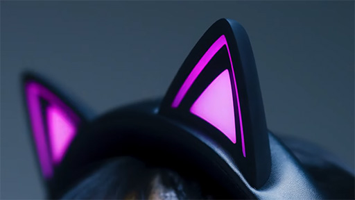 ���������꡼ No.005�Υ���ͥ������ / ǭ�����ԥ��ԥ�����Razer�Υ磻��쥹�إåɥ��åȡ�Kraken Kitty V3 Pro�פ�9��5��ȯ��