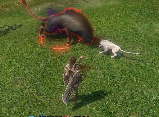 ���������꡼ No.016�Υ���ͥ������ / ����䶦Ʈ�ˤȤɤޤ餺�������䥭���ζ����ˤޤǱƶ������ICARUS ONLINE�פΥե����������ƥ��Ҳ�