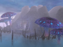 ���������꡼ No.006�Υ���ͥ������ / ����²�Ͽ͵�����Perfect World �ݴ��������ݡפ�������鿴���ѥ����С���ά��3��ǯ�˸����Ƥ�ư��