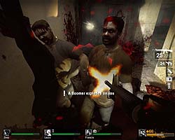 Left 4 Dead ܸ