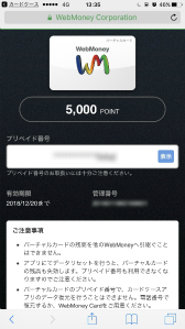 画像ギャラリー No.027のサムネイル画像 / 【PR】お待ちかねの「Steam」ホリデーセールで押さえておくべきタイトルはこれ! セール期間中はWebMoneyを利用して豪華賞品を手に入れよう