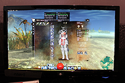 G-Star 2011ϡGuild Wars 2ץץ쥤ݡȡ饯ᥤ󥰤ѡʥ륹ȡ꡼ʥߥå٥Ȥ˿Ƥߤ