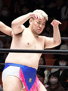 ���������꡼ No.008�Υ���ͥ������ / �˿��ǥ����ΤΥ�����ҥҥ硼 ��������833��ֺ������ڤ��������