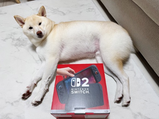 ���������꡼ No.008�Υ���ͥ������ / �˿��ǥ����ΤΥ�����ҥҥ硼 ��������844����㤨�ޤ������������餱�ޤ�����