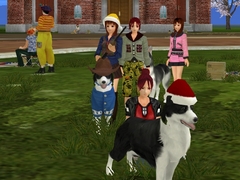 Soundness DogFriends OnlineפǾ޶750ߤΥ⥤٥