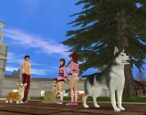 Soundness DogFriends OnlineפǾ޶750ߤΥ⥤٥