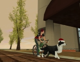 Soundness DogFriends OnlineפǾ޶750ߤΥ⥤٥