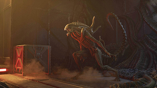 ꡼ No.029Υͥ / 4Gamer1֤򿶤֤Weekly 4Gamerס2025ǯ929105