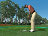 åե㡼եTiger Woods PGA TOUR 08פΥǥǤǺ