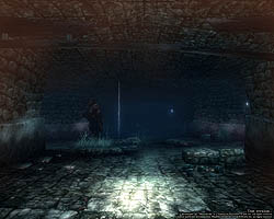 ���������꡼ No.018�Υ���ͥ������ / �ƥ������ؤ�ĩ�����������Wizardry Online�ץХ�󥹥ƥ��Ȥ��ɲä����֥���աʽ��ˡסֿ����󥸥��פʤɤΥ���ƥ�Ĥ�Ҳ�