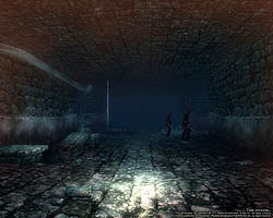 ���������꡼ No.019�Υ���ͥ������ / �ƥ������ؤ�ĩ�����������Wizardry Online�ץХ�󥹥ƥ��Ȥ��ɲä����֥���աʽ��ˡסֿ����󥸥��פʤɤΥ���ƥ�Ĥ�Ҳ�