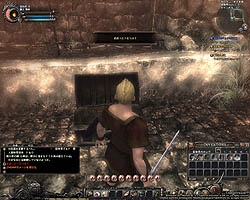 ���������꡼ No.029�Υ���ͥ������ / �ƥ������ؤ�ĩ�����������Wizardry Online�ץХ�󥹥ƥ��Ȥ��ɲä����֥���աʽ��ˡסֿ����󥸥��פʤɤΥ���ƥ�Ĥ�Ҳ�