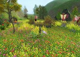 Soft-WorldMMORPGXenjo OnlineפΡȵȯɽɤѤǳšο