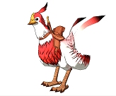 ������#004�Υ���ͥ���/��CroXino�פ�PvP�����ƥ�Ƴ�������ꡣ�ڥåȥ����ƥ����ȥ������顼/�����å��Υ��饹�Ȥ�������