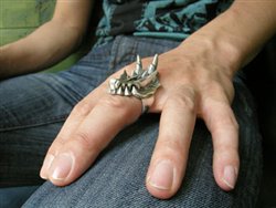 ���������꡼ No.001�Υ���ͥ������ / ���ץ���TGS2009ʪ�Υ֡��������䤵������ȯ�䥰�å���2��