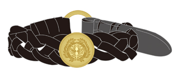 ���������꡼ No.036�Υ���ͥ������ / ���ץ���TGS2009ʪ�Υ֡��������䤵������ȯ�䥰�å���2��