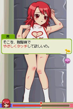 ������#013�Υ���ͥ���/���쥯�ȥ��˥å��������ġ��˥�ƥ�ɡ�DS���������ɥ٥���㡼�֤Ϥ����פ�2009ǯ�դ�ȯ��