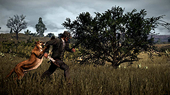 Red Dead Redemptionפ̤ȼɡꤲɤξ󤬸