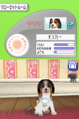 奢륷꡼2980 Petz Dogz ɥå