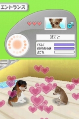 奢륷꡼2980 Petz Dogz ɥå