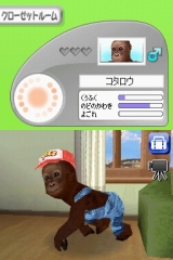 奢륷꡼2980 Petz Monkeyz 󥭡