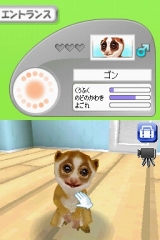 奢륷꡼2980 Petz Monkeyz 󥭡