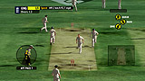 Ashes Cricket 2009