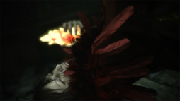 ꡼ No.025Υͥ / ϥɤʥ˼Ȥ̣Ȥϡ˥åLuminous Studioפܻؤȥ̤ɤˤĤʹƤߤ