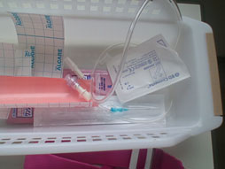 ���������꡼ No.015�Υ���ͥ������ / ���������ʡۼ���Ŧ�м�Ѥ�����Ƽ��餬�Х����ϥ��������ˤʤä���