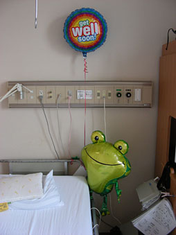 ���������꡼ No.017�Υ���ͥ������ / ���������ʡۼ���Ŧ�м�Ѥ�����Ƽ��餬�Х����ϥ��������ˤʤä���