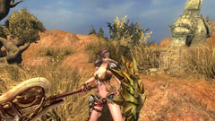 ���������꡼ No.020�Υ���ͥ������ / �٥������������ӥ�ͽ��Ρ�Magic World Begins�פξܺپ������ƾ峤�ء�����ȯ����Goldcool�Ǥ������Ƥ�Τ���Ƥ���