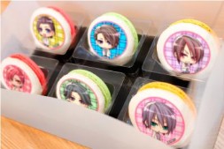 ���������꡼ No.008�Υ���ͥ������ / �֥��ȥ�Сס�Vitamin�ץ��꡼���Υץ��ȥ�������ޥ������о�