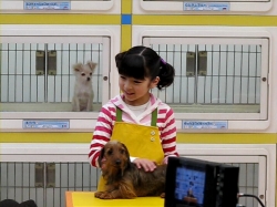 ���������꡼ No.002�Υ���ͥ������ / �֤ߤ�ʤο�²�ۡס֥ڥåȥ���å�ʪ�� DS 2��CM������ͻҤ����