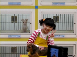 ���������꡼ No.003�Υ���ͥ������ / �֤ߤ�ʤο�²�ۡס֥ڥåȥ���å�ʪ�� DS 2��CM������ͻҤ����