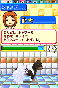 ���������꡼ No.002�Υ���ͥ������ / ������������ޤ������������ȡ���NDS�ѥ��եȡ֥ڥåȥ���å�ʪ��DS 2�פ�4��1���˥�꡼��