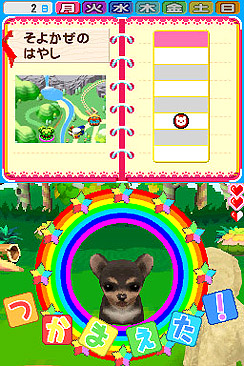 ���������꡼ No.004�Υ���ͥ������ / ������������ޤ������������ȡ���NDS�ѥ��եȡ֥ڥåȥ���å�ʪ��DS 2�פ�4��1���˥�꡼��