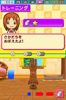 ���������꡼ No.002�Υ���ͥ������ / �֥ڥåȥ���å�ʪ��DS 2�׷ݤ�Ф��������ڥåȤ򥳥�ƥ��Ȥ˽о줵����ͥ�����ܻؤ���